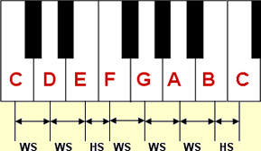whole tones, semitones